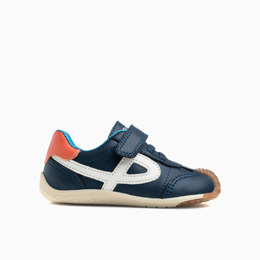 Zico Plus Mediterraneo