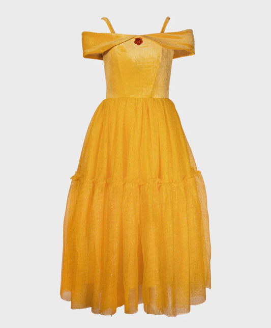Enchanted Rose Princess Dress