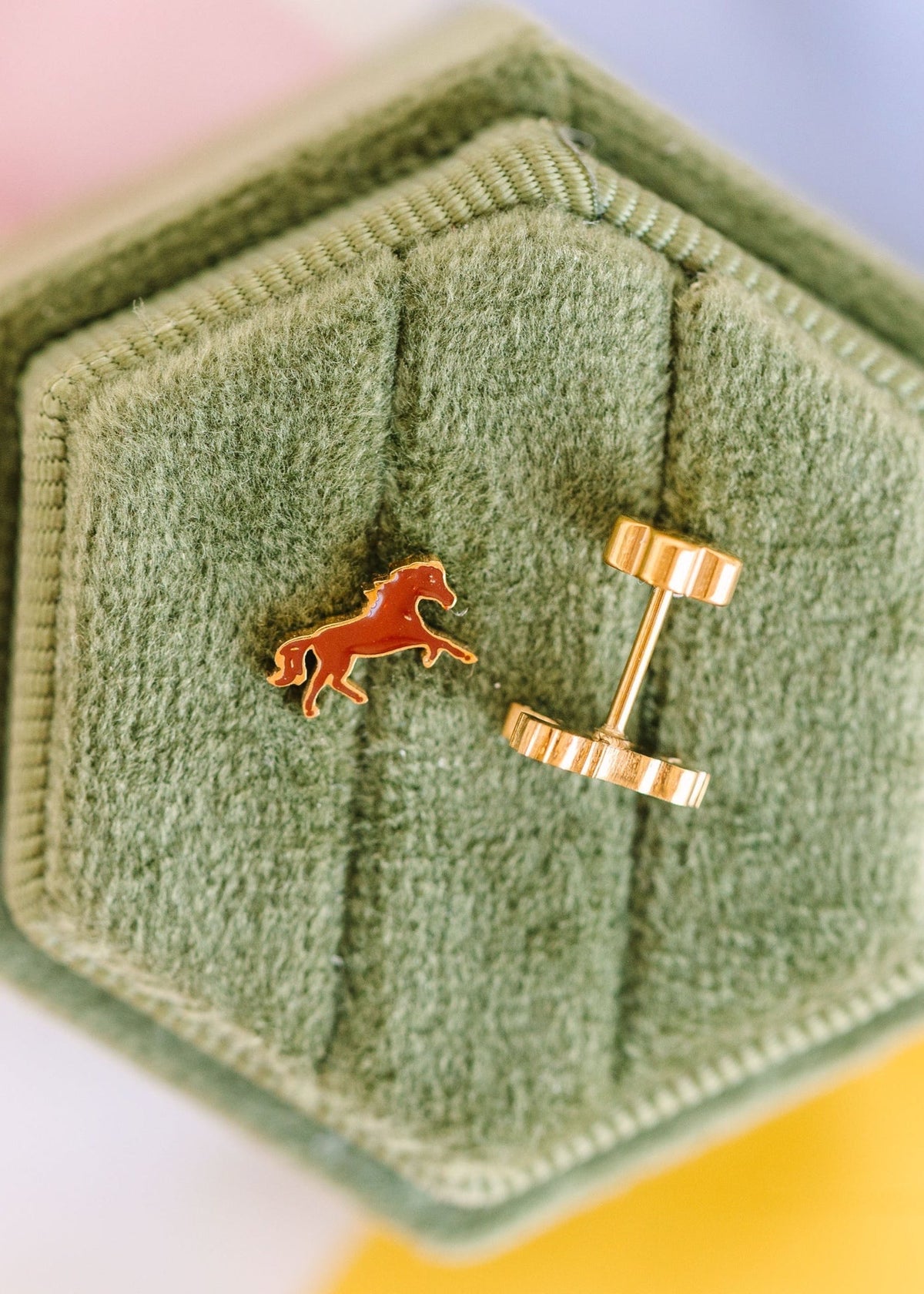 Equestrian Stud - Horse