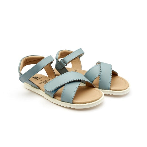 Catalog image for Peachy - Dusty Blue